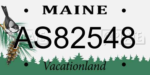 AS82548 Maine License Plate