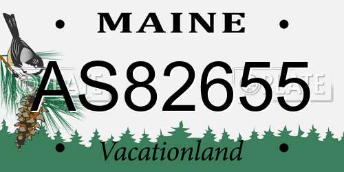 AS82655 Maine License Plate