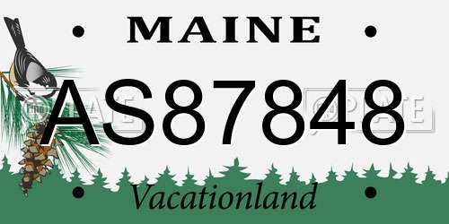 AS87848 Maine License Plate