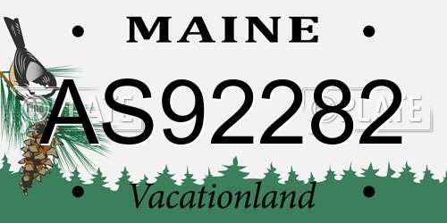 AS92282 Maine License Plate