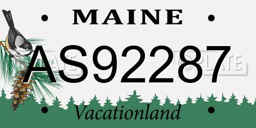 AS92287 Maine License Plate