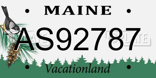 AS92787 Maine License Plate