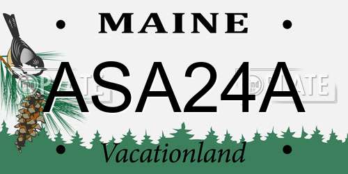 ASA24A Maine License Plate