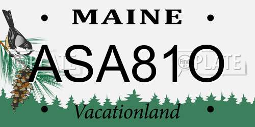 ASA81O Maine License Plate