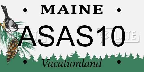 ASAS10 Maine License Plate