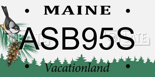 ASB95S Maine License Plate
