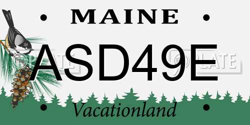 ASD49E Maine License Plate