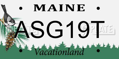 ASG19T Maine License Plate