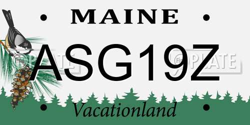 ASG19Z Maine License Plate