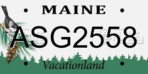 ASG2558 Maine License Plate