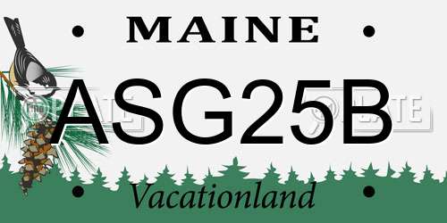 ASG25B Maine License Plate