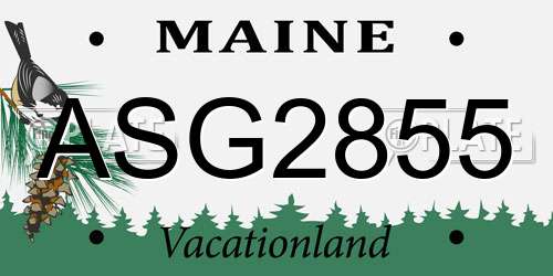 ASG2855 Maine License Plate