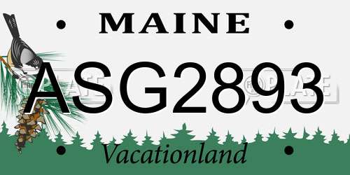 ASG2893 Maine License Plate