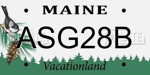 ASG28B Maine License Plate