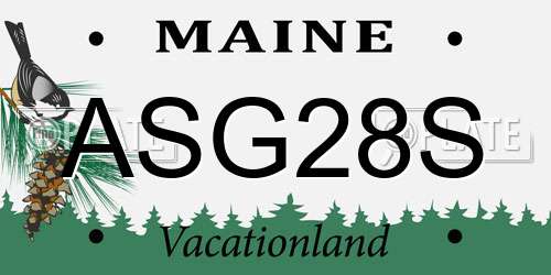 ASG28S Maine License Plate