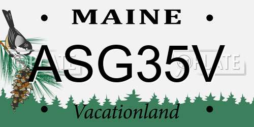 ASG35V Maine License Plate