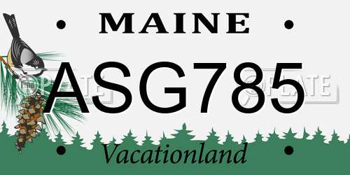 ASG785 Maine License Plate