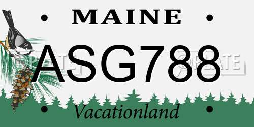 ASG788 Maine License Plate