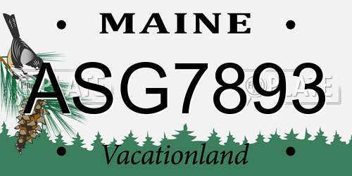 ASG7893 Maine License Plate
