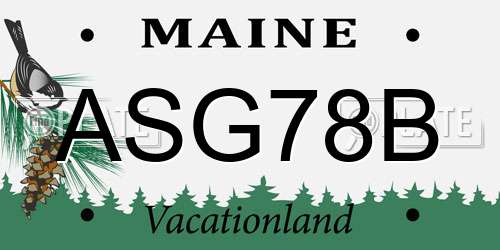ASG78B Maine License Plate