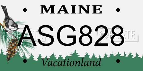 ASG828 Maine License Plate