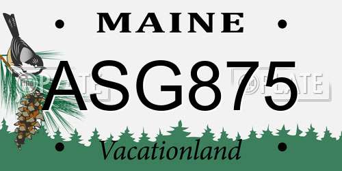 ASG875 Maine License Plate