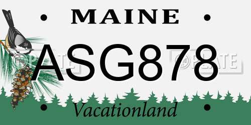 ASG878 Maine License Plate