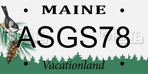 ASGS78 Maine License Plate
