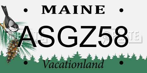 ASGZ58 Maine License Plate