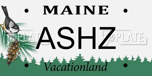 ASHZ Maine License Plate