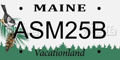 ASM25B Maine License Plate