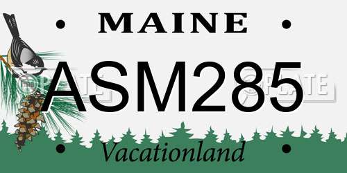 ASM285 Maine License Plate