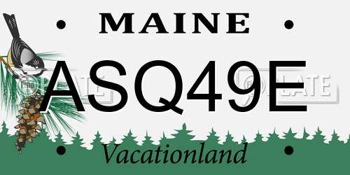ASQ49E Maine License Plate
