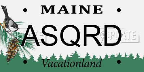 ASQRD Maine License Plate