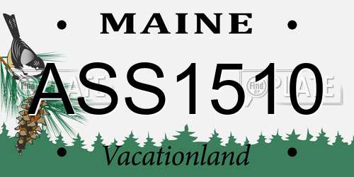 ASS1510 Maine License Plate