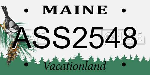 ASS2548 Maine License Plate