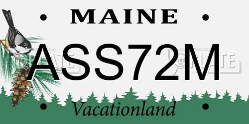 ASS72M Maine License Plate
