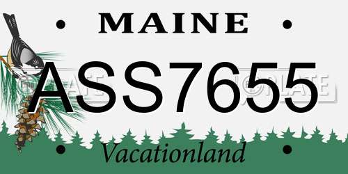 ASS7655 Maine License Plate