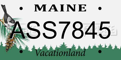 ASS7845 Maine License Plate