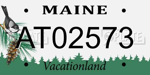 AT02573 Maine License Plate