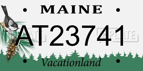 AT23741 Maine License Plate