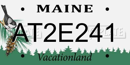 AT2E241 Maine License Plate