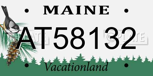 AT58132 Maine License Plate