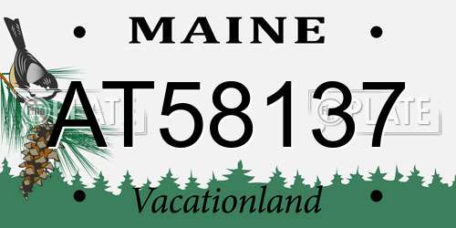 AT58137 Maine License Plate