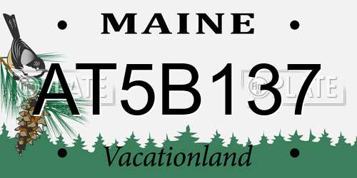 AT5B137 Maine License Plate