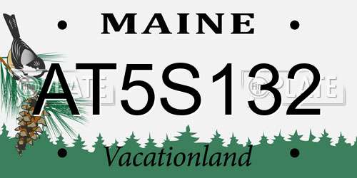 AT5S132 Maine License Plate