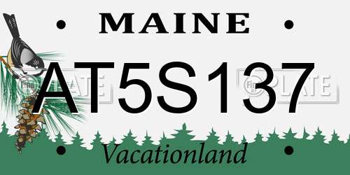 AT5S137 Maine License Plate