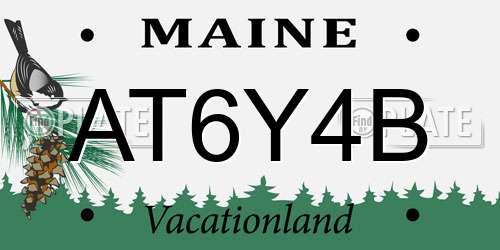 AT6Y4B Maine License Plate