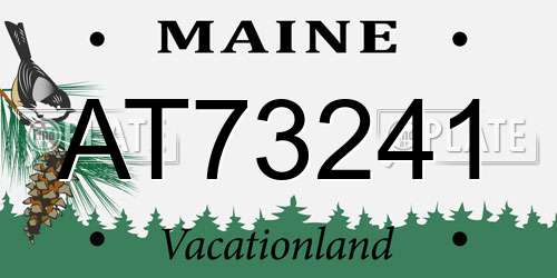 AT73241 Maine License Plate