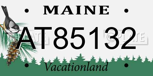 AT85132 Maine License Plate